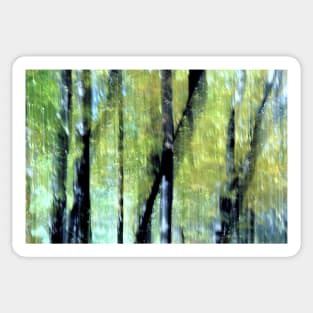 Autumn ~ Sun-dappled trees Sticker